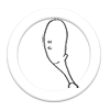 Your unique website